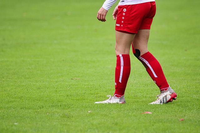 荷比赛的薄 荷比赛的薄