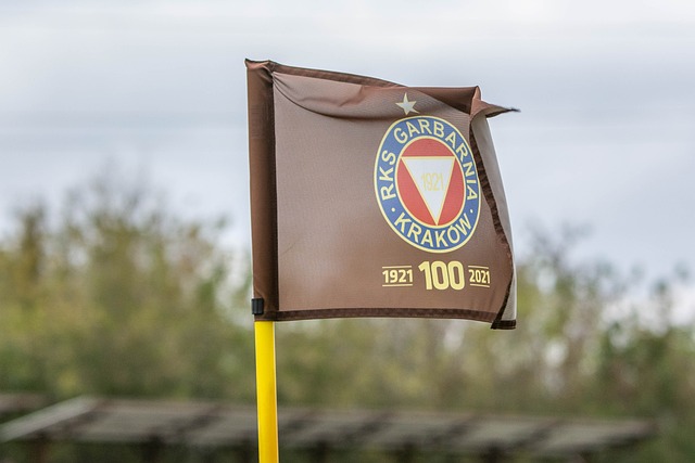 还常常在进 还常常在进