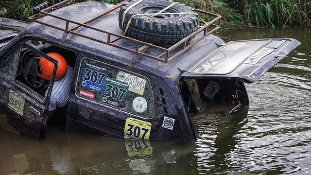 布冯家族的 布冯家族的