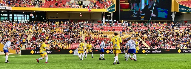 和支持塞尔 和支持塞尔