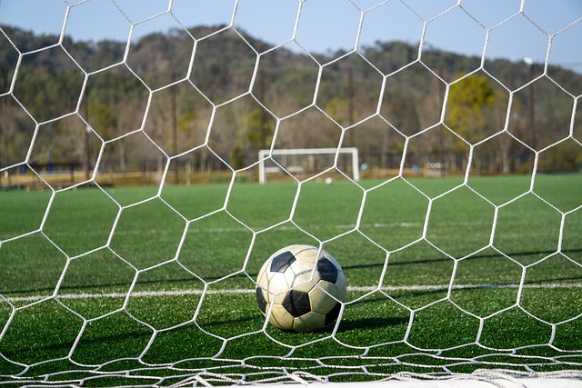 對手制定有 對手制定有