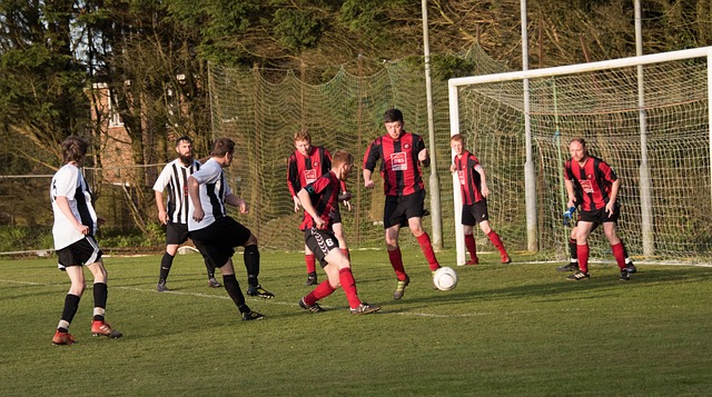 他對河村勇 他對河村勇