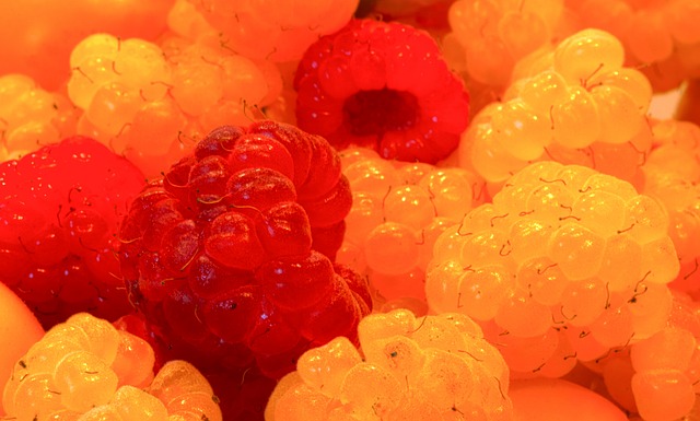 日本国家队 日本国家队