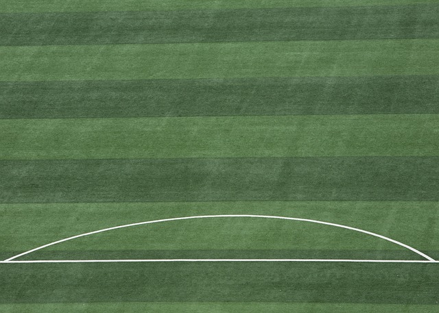 本赛季尼克 本赛季尼克